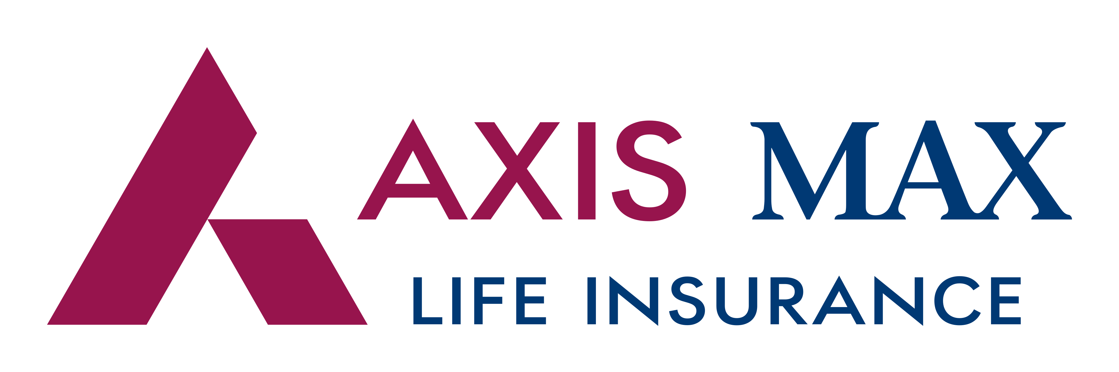 Axis Max Life